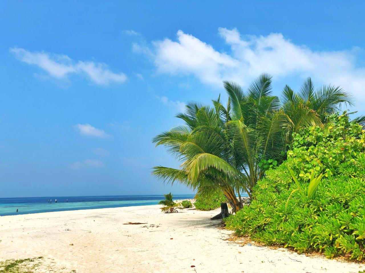 Hotel Wow Retreat à Felidhoo Extérieur photo